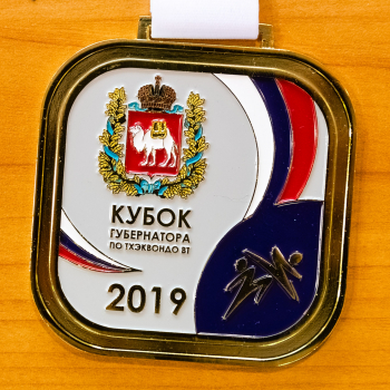 Первый Кубок Губернатора по олимпийскому тхэквондо Первый Кубок Губернатора по олимпийскому тхэквондо