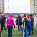 Высадка деревьев 21 мая в рамках проекта «Целлюлоза»
